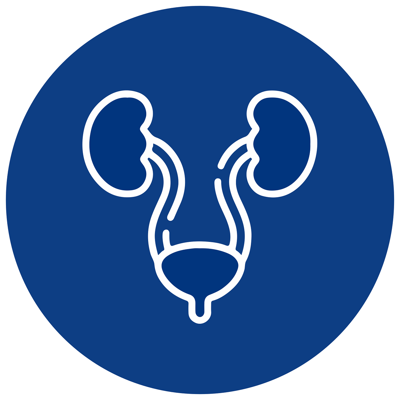 Urology